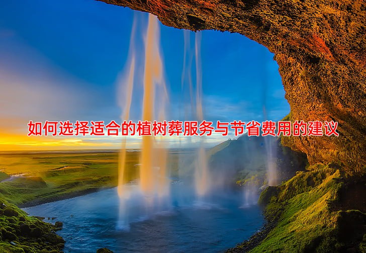 如何选择适合的植树葬服务与节省费用的建议