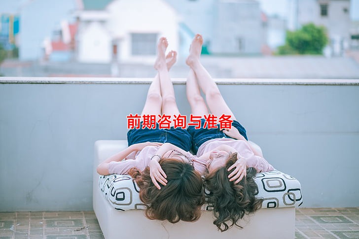 前期咨询与准备
