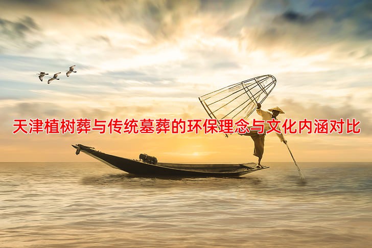 天津植树葬与传统墓葬的环保理念与文化内涵对比