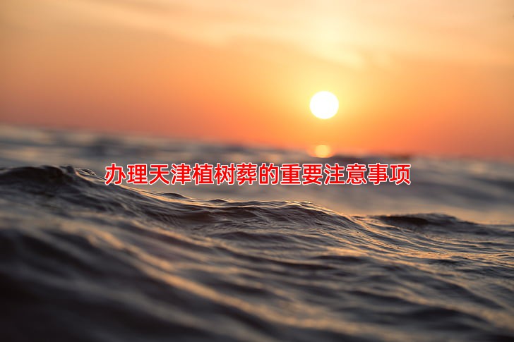 办理天津植树葬的重要注意事项