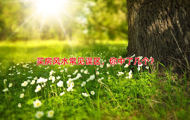 买房风水常见误区，你中了几个？