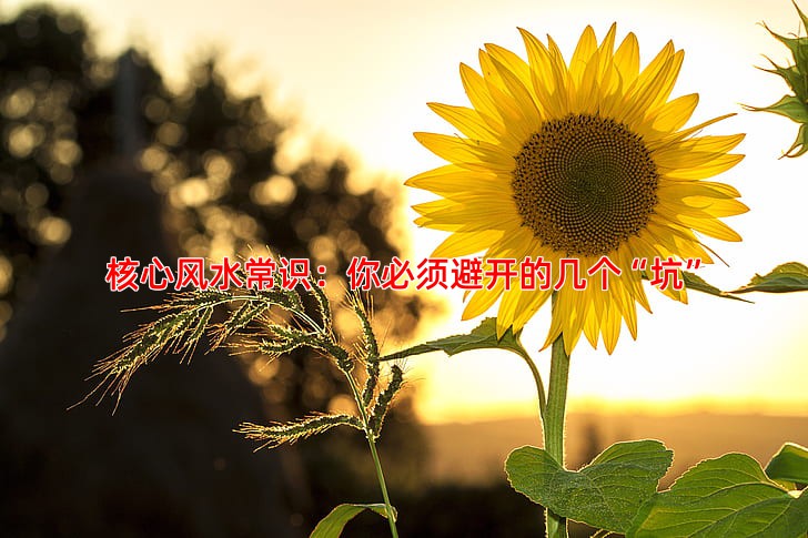 核心风水常识：你必须避开的几个“坑”