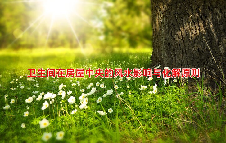 卫生间在房屋中央的风水影响与化解原则