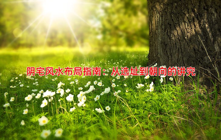 阴宅风水布局指南：从选址到朝向的讲究