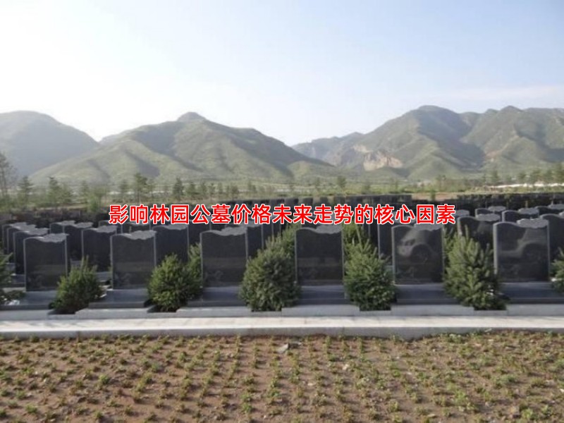 影响林园公墓价格未来走势的核心因素