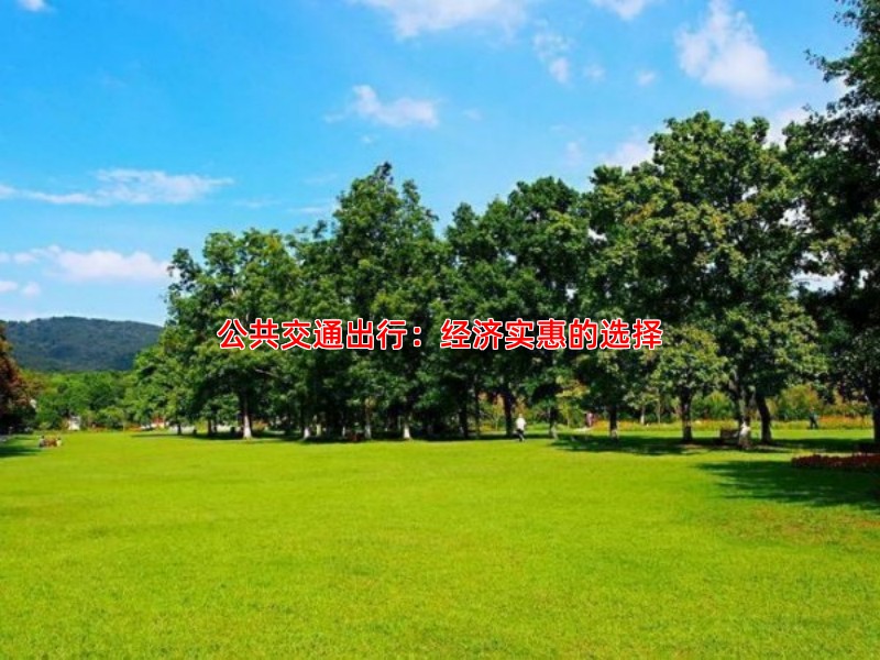 公共交通出行：经济实惠的选择