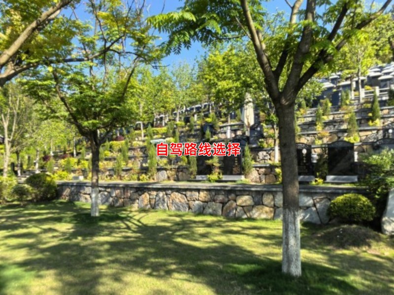 自驾路线选择