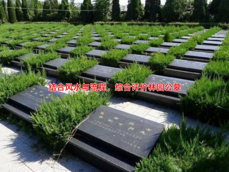 结合风水与流程，综合评价林园公墓