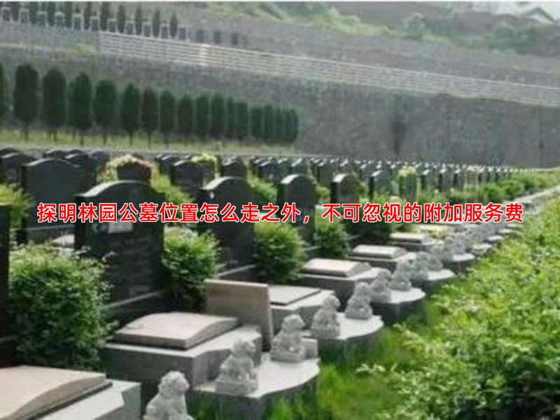 探明林园公墓位置怎么走之外，不可忽视的附加服务费