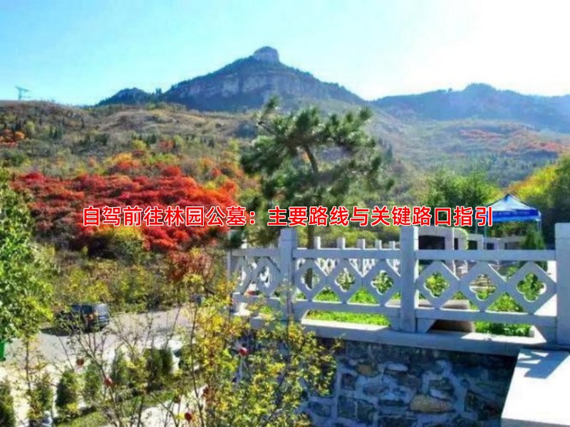 自驾前往林园公墓：主要路线与关键路口指引