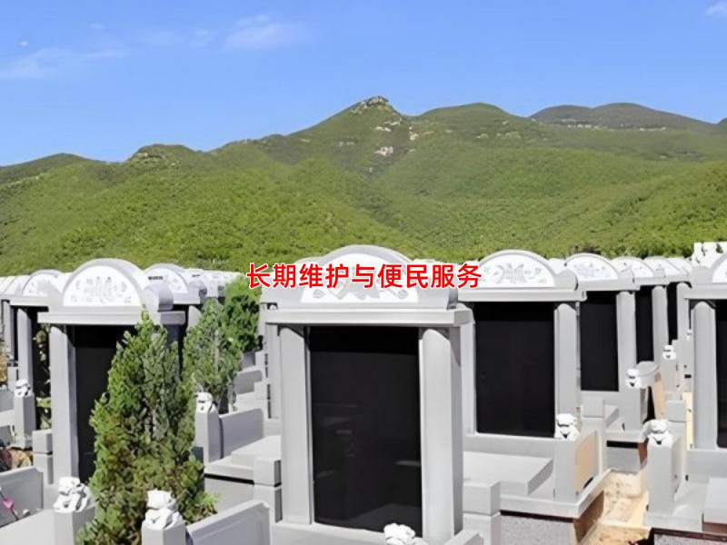 长期维护与便民服务