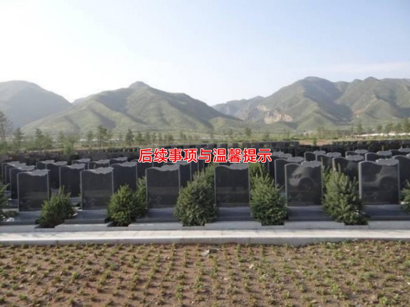 后续事项与温馨提示