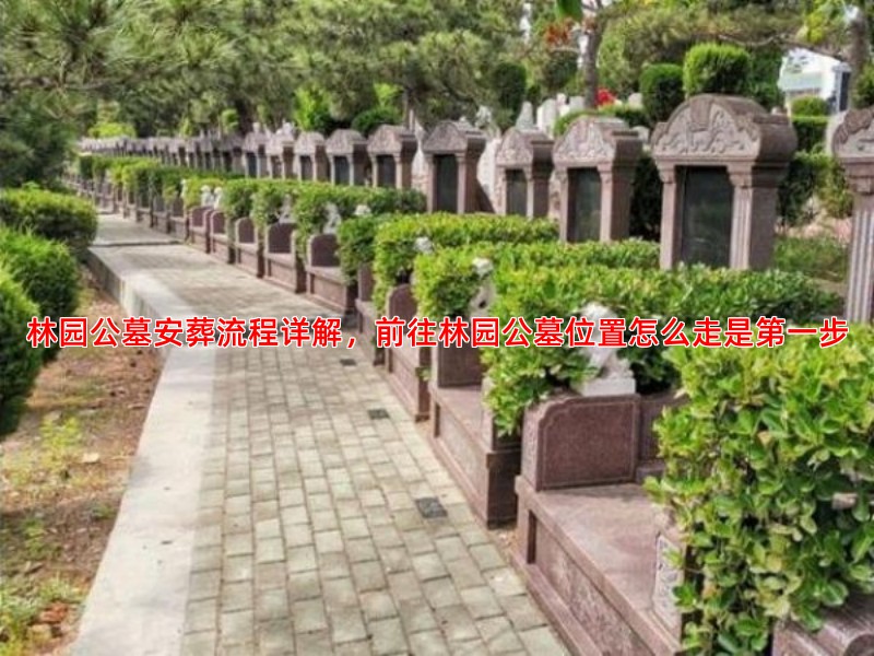 林园公墓安葬流程详解，前往林园公墓位置怎么走是步