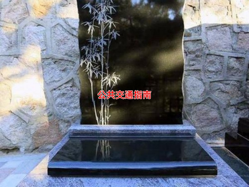 公共交通指南