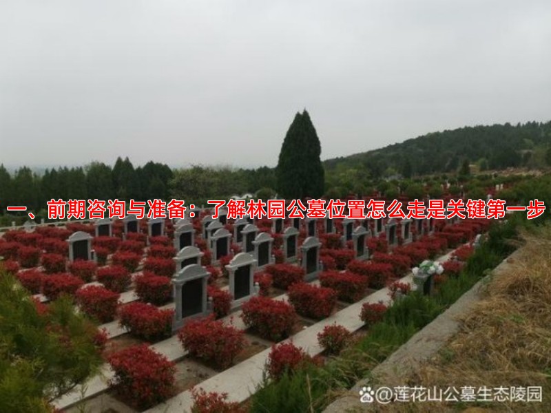 一、前期咨询与准备：了解林园公墓位置怎么走是关键步