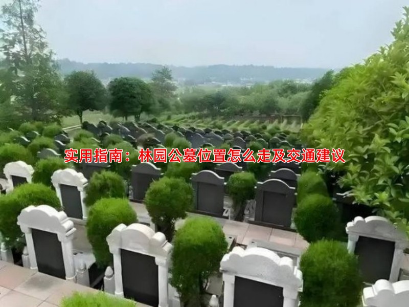 实用指南：林园公墓位置怎么走及交通建议