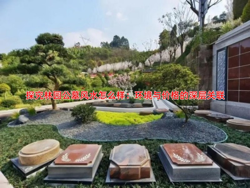 探究林园公墓风水怎么样：环境与价格的深层关联