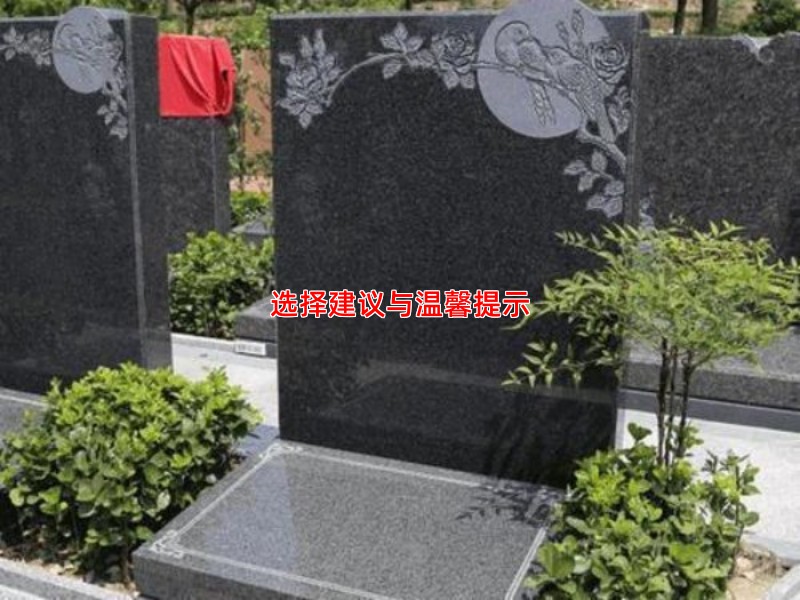 选择建议与温馨提示
