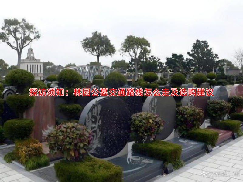 探访须知：林园公墓交通路线怎么走及选购建议
