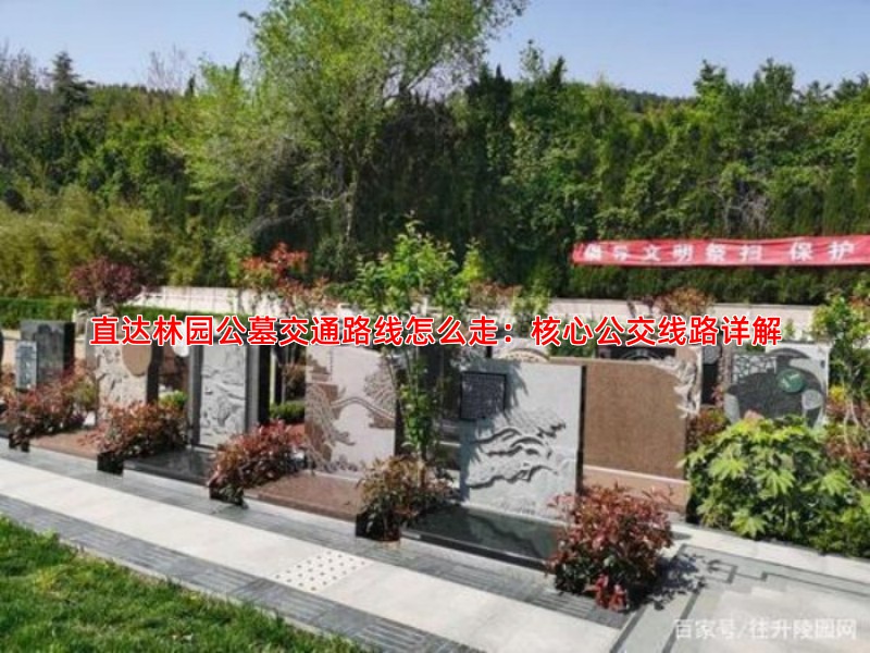 直达林园公墓交通路线怎么走：核心公交线路详解