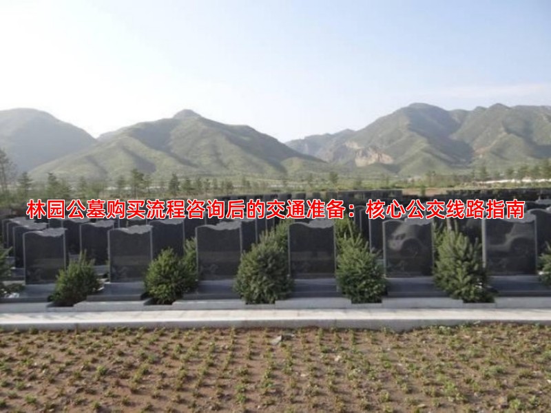 林园公墓购买流程咨询后的交通准备：核心公交线路指南