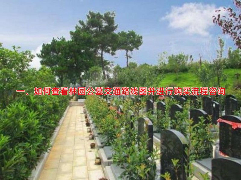一、如何查看林园公墓交通路线图并进行购买流程咨询