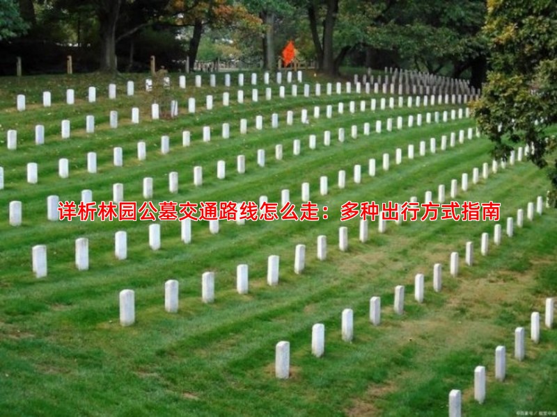 详析林园公墓交通路线怎么走：多种出行方式指南