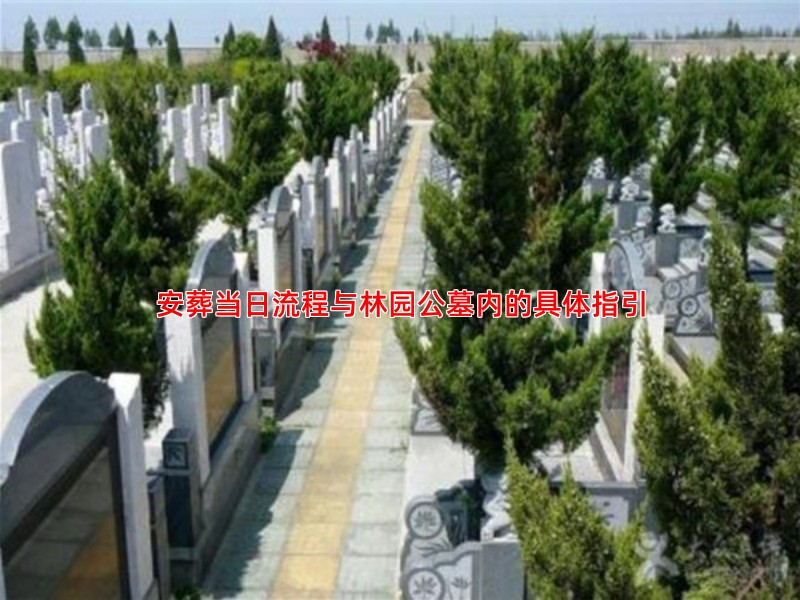 安葬当日流程与林园公墓内的具体指引