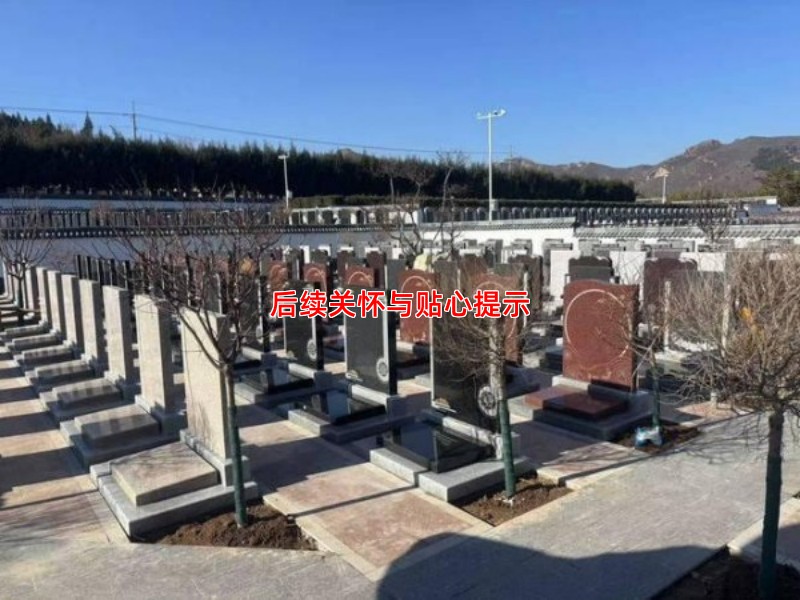 后续关怀与贴心提示