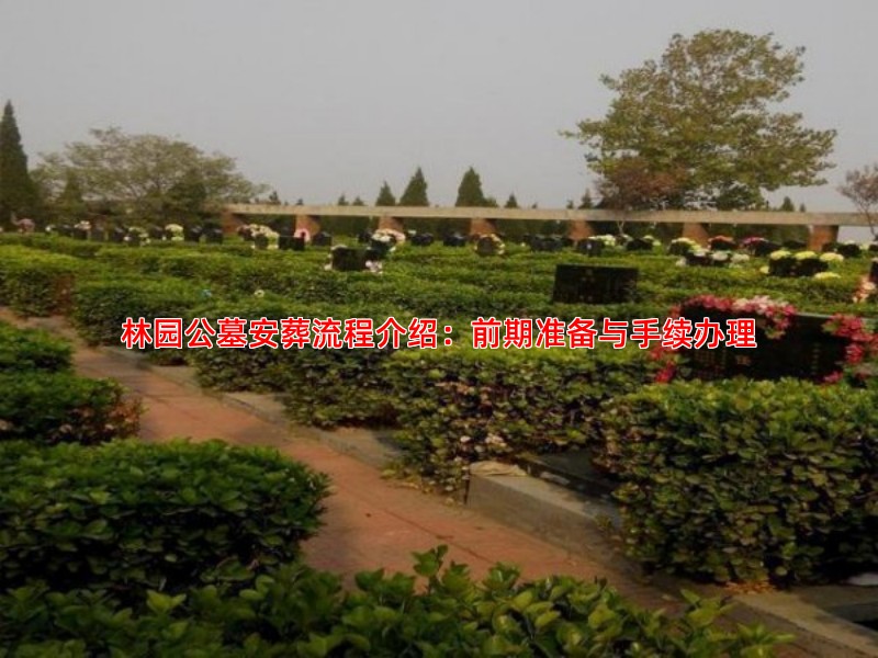 林园公墓安葬流程介绍：前期准备与手续办理