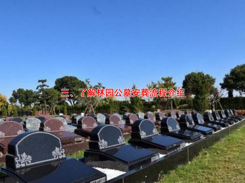 三、了解林园公墓安葬流程介绍