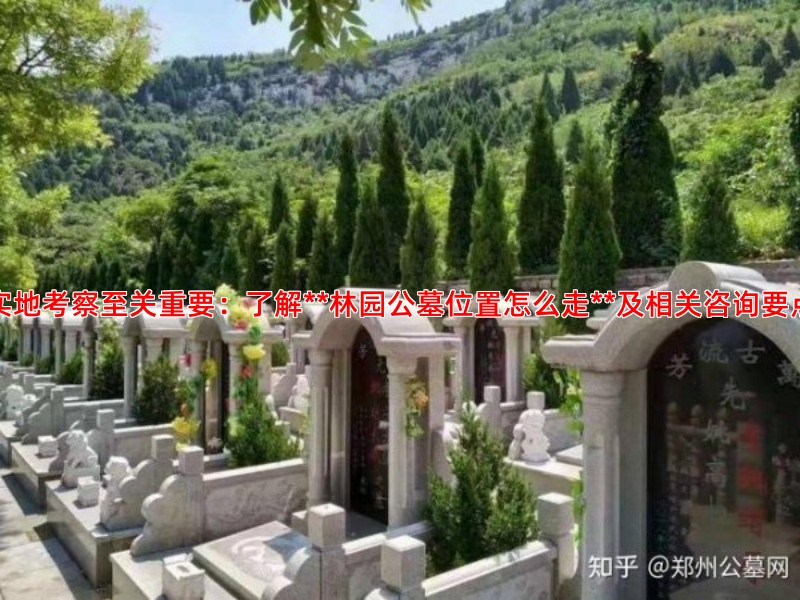 实地考察至关重要：了解**林园公墓位置怎么走**及相关咨询要点