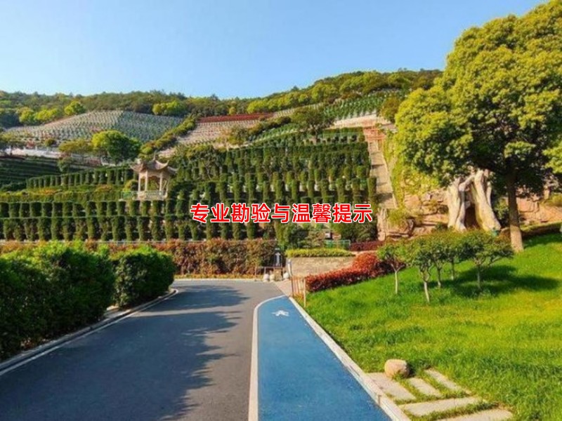专业勘验与温馨提示