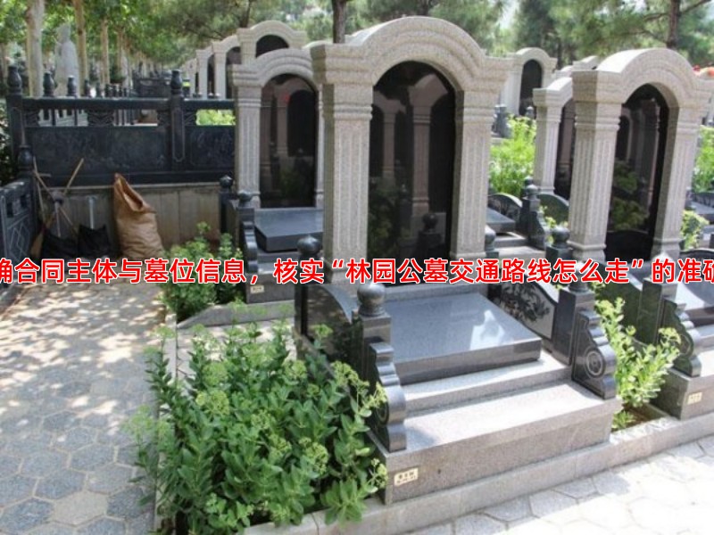 明确合同主体与墓位信息，核实“林园公墓交通路线怎么走”的准确性
