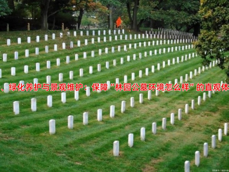 一、绿化养护与景观维护：保障“林园公墓环境怎么样”的直观体验