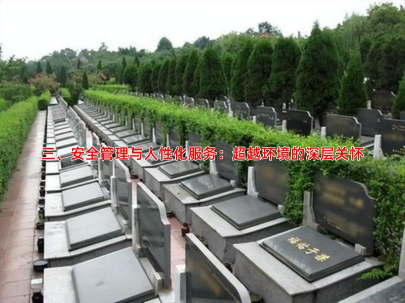 三、安全管理与人性化服务：超越环境的深层关怀