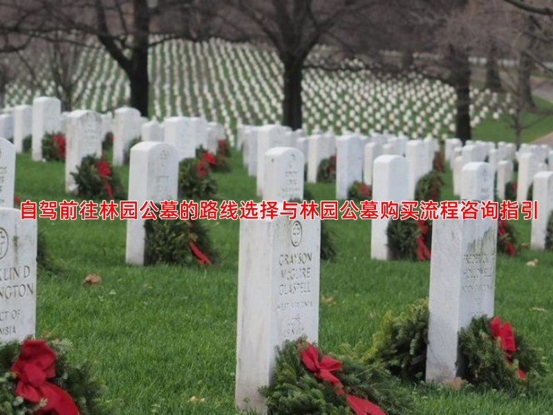 自驾前往林园公墓的路线选择与林园公墓购买流程咨询指引