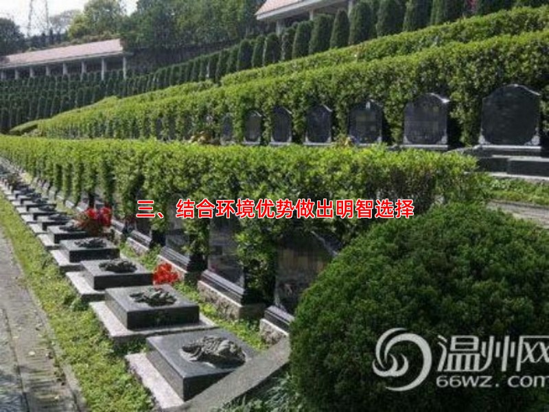 三、结合环境优势做出明智选择
