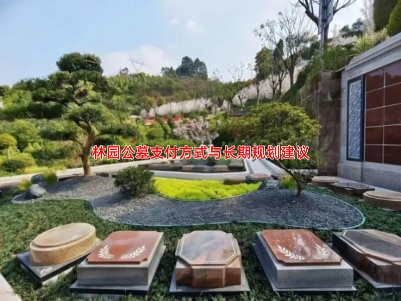 林园公墓支付方式与长期规划建议