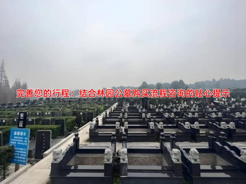 完善您的行程：结合林园公墓购买流程咨询的贴心提示