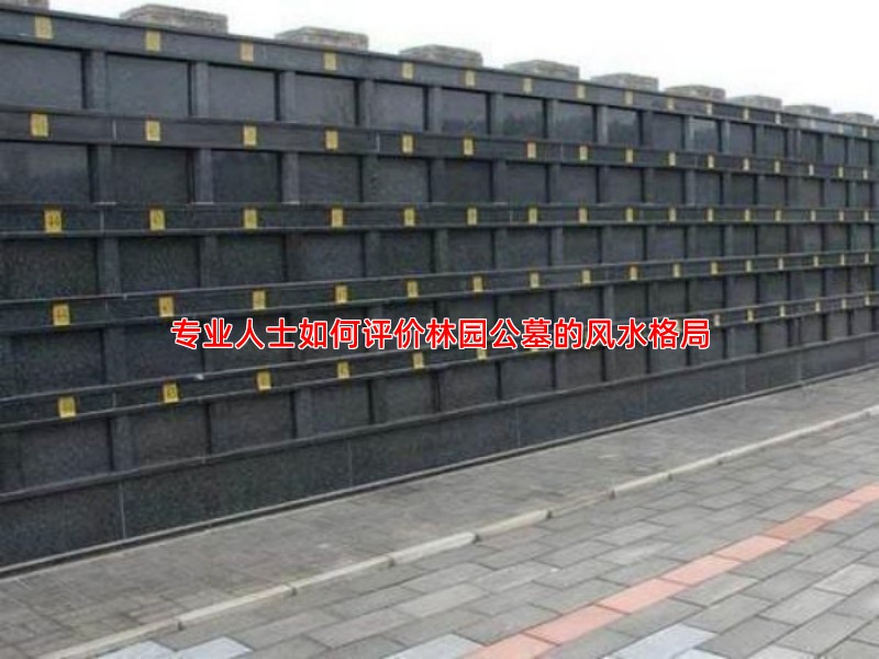 专业人士如何评价林园公墓的风水格局