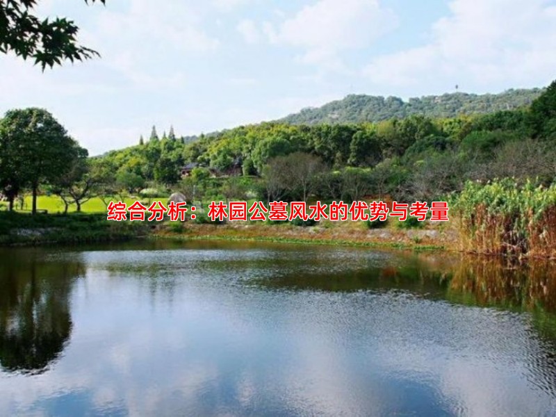 综合分析：林园公墓风水的优势与考量