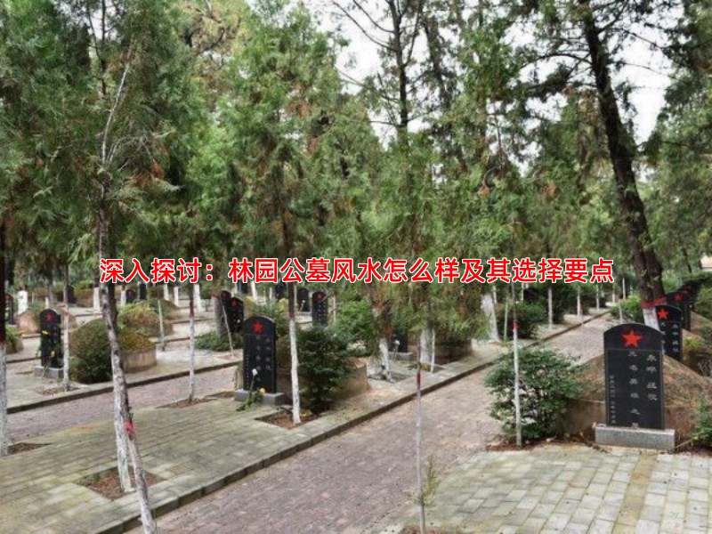 深入探讨：林园公墓风水怎么样及其选择要点