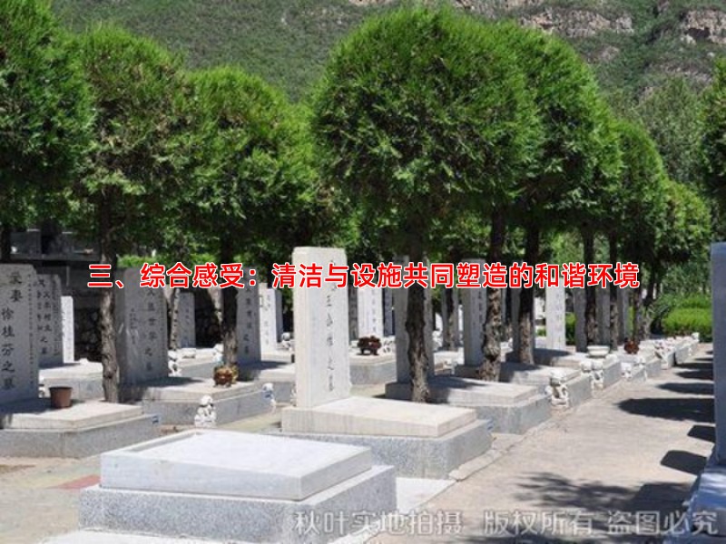 三、综合感受：清洁与设施共同塑造的和谐环境