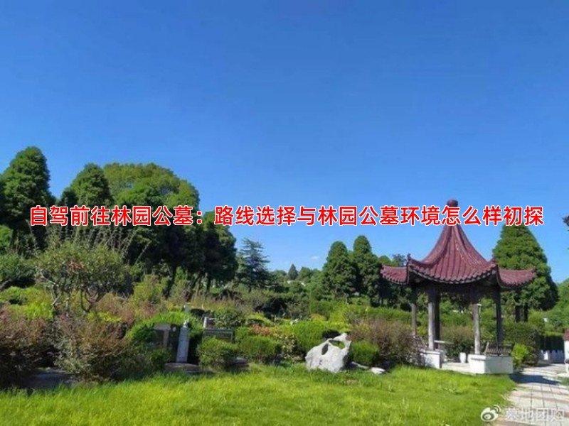 自驾前往林园公墓：路线选择与林园公墓环境怎么样初探