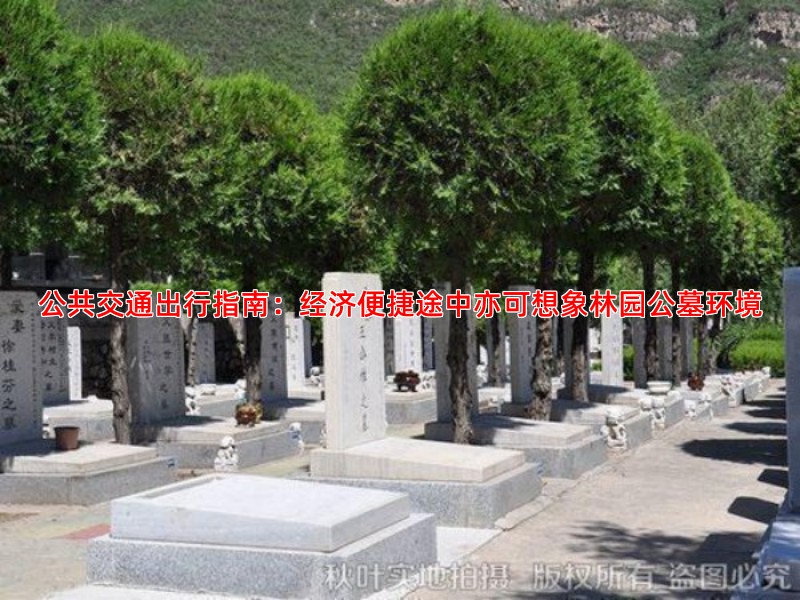 公共交通出行指南：经济便捷途中亦可想象林园公墓环境