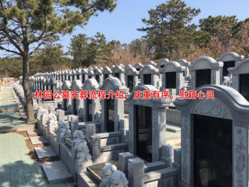 林园公墓安葬流程介绍：庄重有序，慰藉心灵