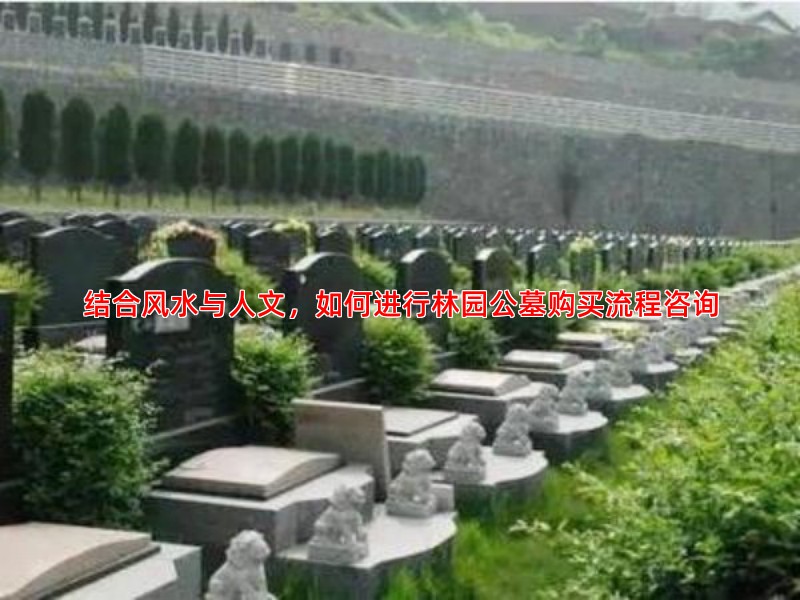 结合风水与人文，如何进行林园公墓购买流程咨询