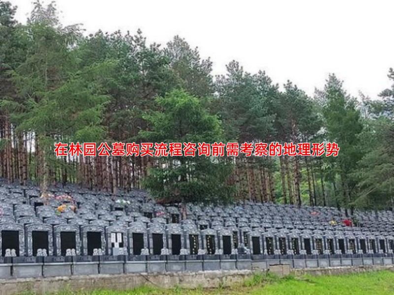在林园公墓购买流程咨询前需考察的地理形势