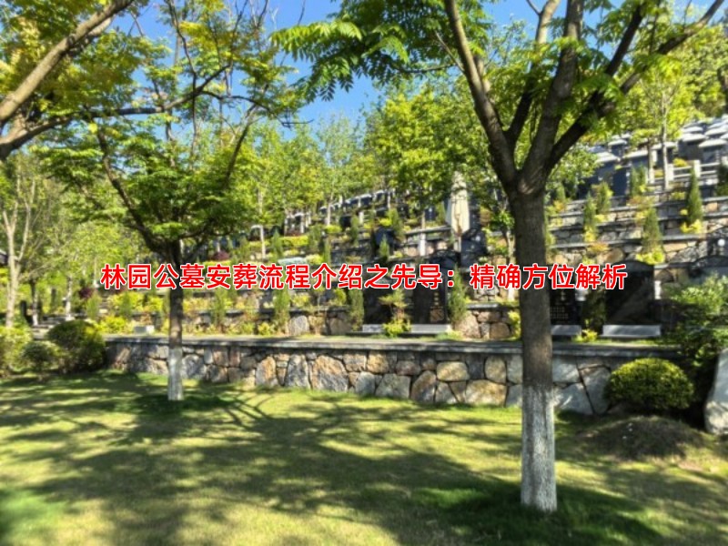 林园公墓安葬流程介绍之先导：精确方位解析